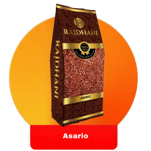 Rajdhani Asario