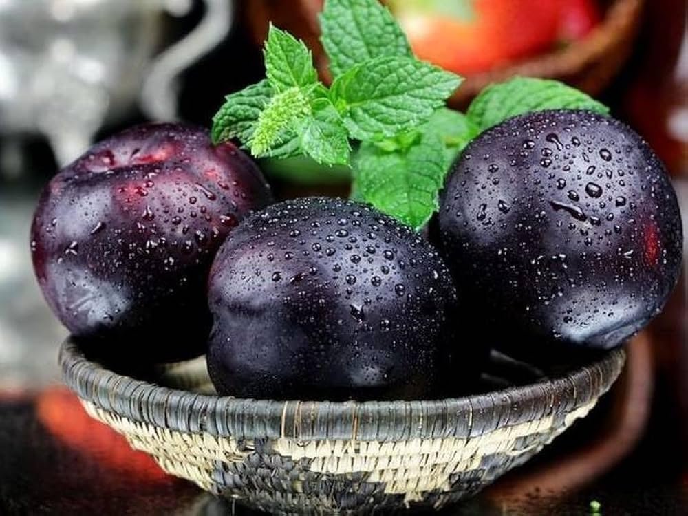 Rajdhani Fresh Plum (Alu Bhukhara) - Image 2