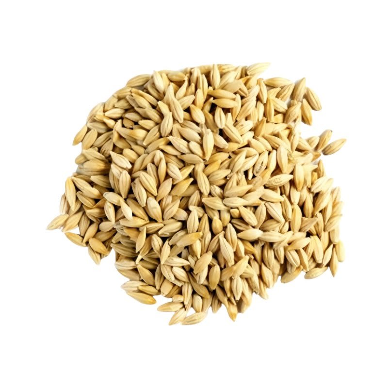 Rajdhani Barley With Husk (Jau Chhilke Sahit) - Image 3