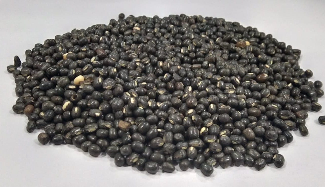 Rajdhani Urid Whole (Sabut Urad) - Image 3
