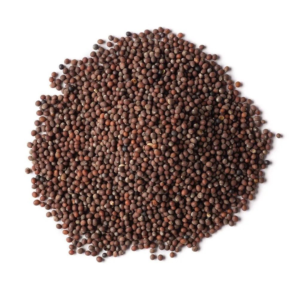 Rajdhani Brown Mustard Seeds (Bhuri Sarson) - Image 3
