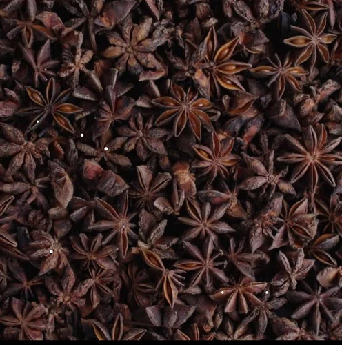 Rajdhani Star Aniseeds (Chakra Phool) - Image 3