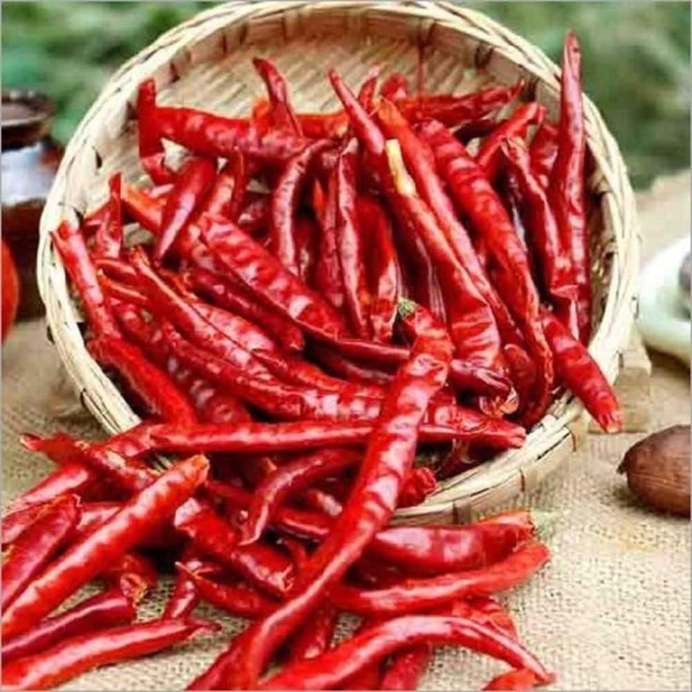 Rajdhani Hot Long Chilli Whole (Lambi Teekhi Mirch) - Image 3