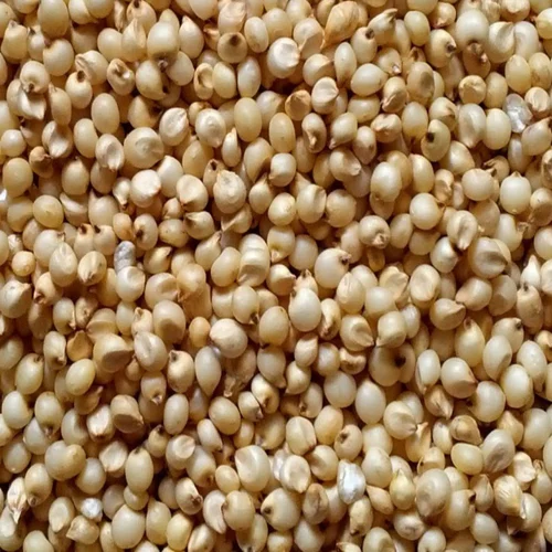Rajdhani Jowar Whole (Juwar Dane) - Image 3